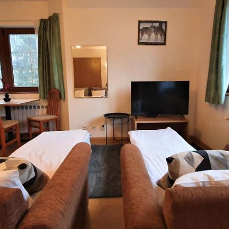 Kokiche Private Apartments Borovets Rum bild